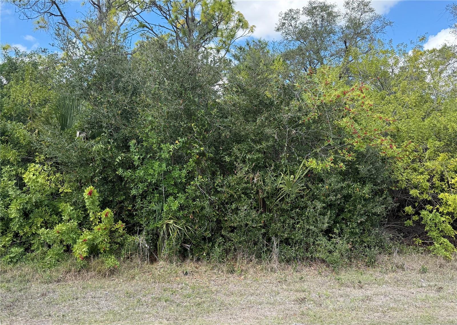 PORT CHARLOTTE SEC 038 - Land