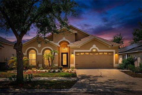 Photo of 408 Delwood Breck Street, Ruskin, FL 33570 (MLS # C7524569)