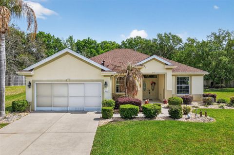 Photo of 9243 SE 120th Loop, Summerfield, FL 34491 (MLS # OM721653)