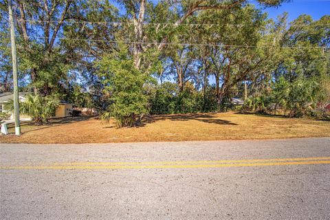 A home in BELLEVIEW