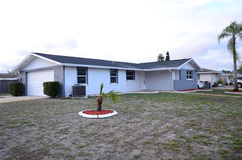 10433 LABURNUM DRIVE PORT RICHEY FL 34668