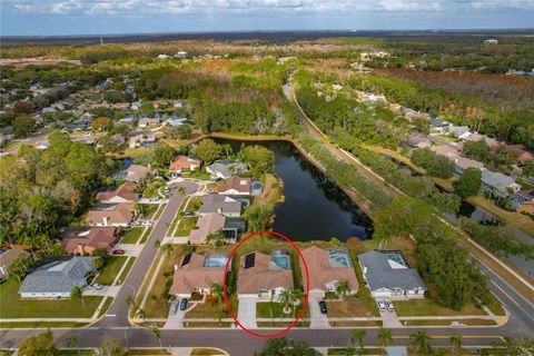 A home in TARPON SPRINGS