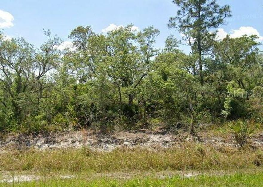 Seize this outstanding opportunity to build your Florida dream home on a .23-acre lot set on a paved road and safely outside any flood zone. You’ll be just a short drive from the heart of Lake Placid, where friendly shops, local dining, and a charming small-town vibe make everyday living feel easy. And with Lake August nearby, you can slip out for fishing, boating, or quiet moments on the water whenever you want. It’s a comfortable, convenient spot to bring your vision to life, whether you’re ready to start building or mapping out your future plans.