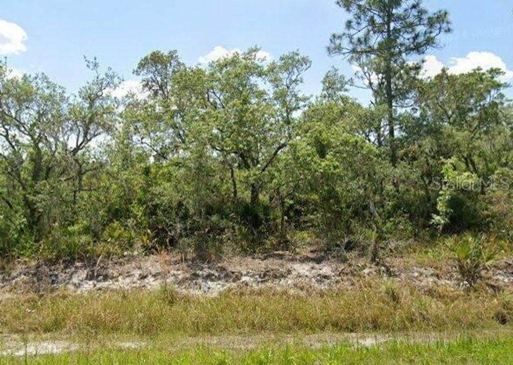 Photo of 978 Archie Summers Road, Lake Placid, FL 33852 (MLS # A4672881)