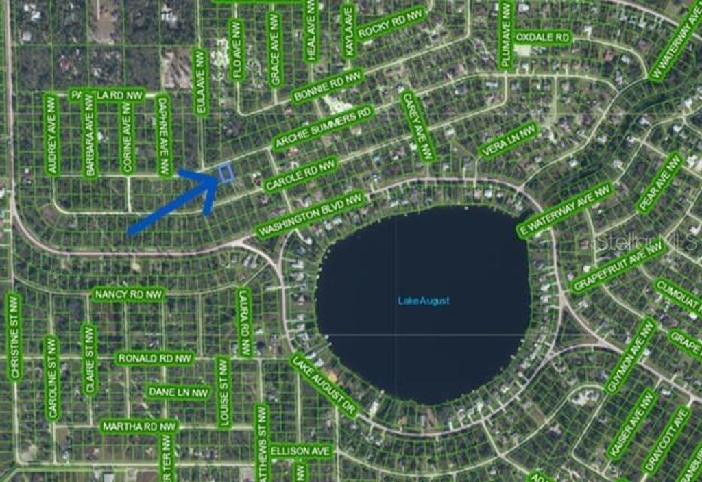 Photo of 978 Archie Summers Road, Lake Placid, FL 33852 (MLS # A4672881)