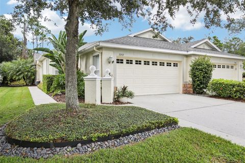 Photo of 3242 Chapel Creek Circle, Wesley Chapel, FL 33544 (MLS # TB8429402)