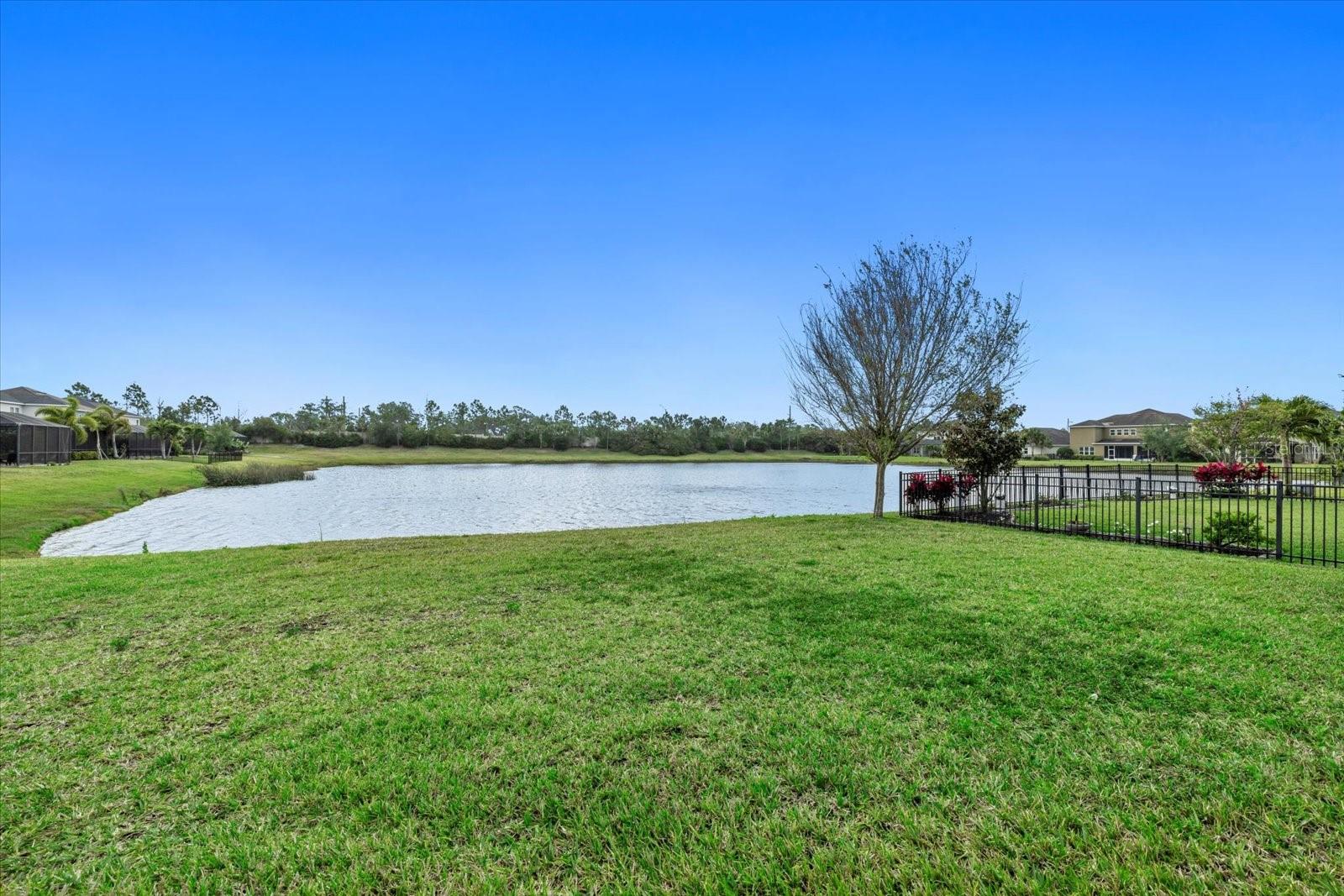 ARBOR LAKES ON PALMER RANCH - Residential