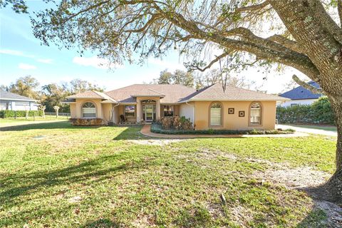 Photo of 23844 Sundance Drive, Sorrento, FL 32776 (MLS # O6388740)