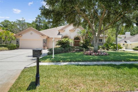 A home in PALM HARBOR