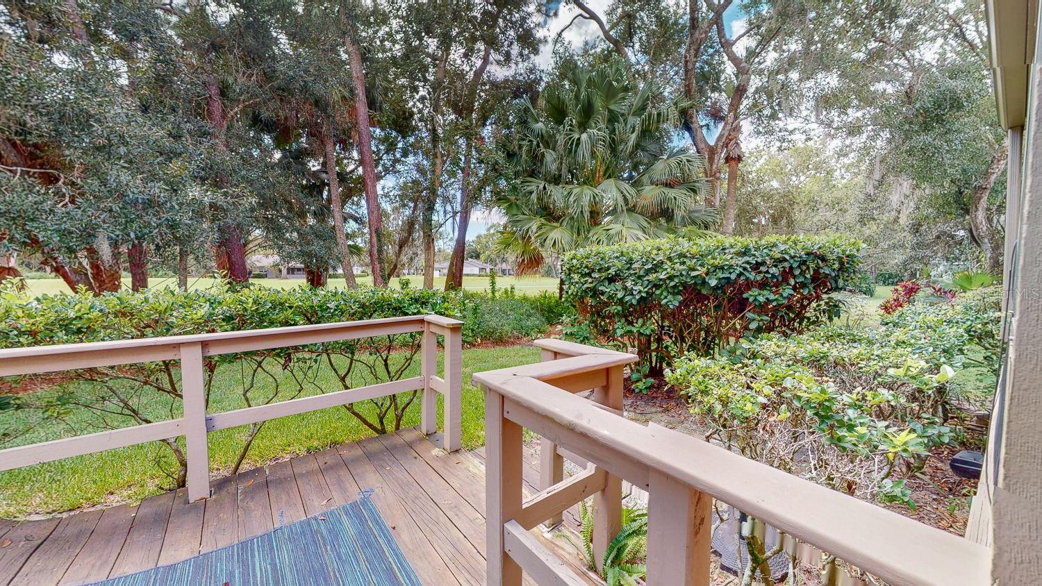 EAST LAKE WOODLANDS WOODRIDGE GREEN TWNHMS - Residential