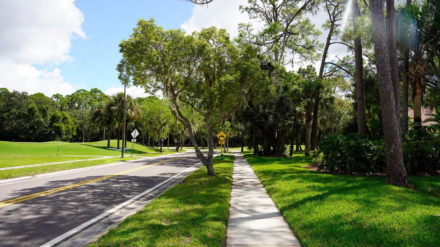 EAST LAKE WOODLANDS WOODRIDGE GREEN TWNHMS - Residential