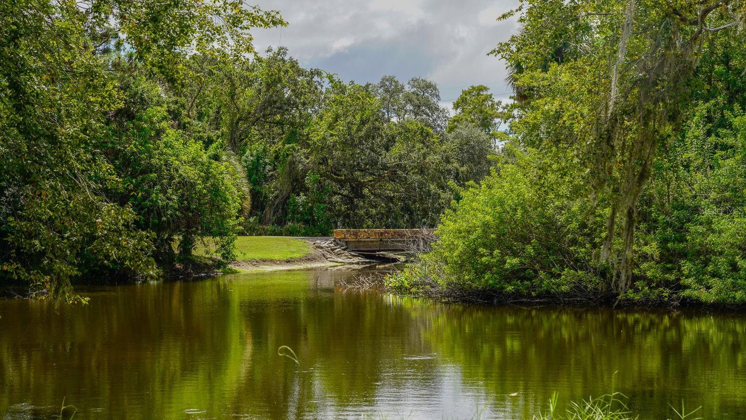 EAST LAKE WOODLANDS WOODRIDGE GREEN TWNHMS - Residential