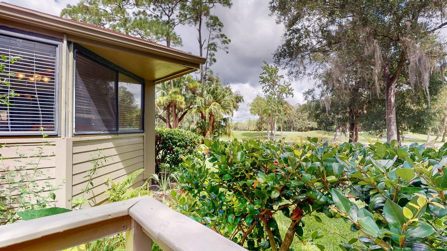 EAST LAKE WOODLANDS WOODRIDGE GREEN TWNHMS - Residential