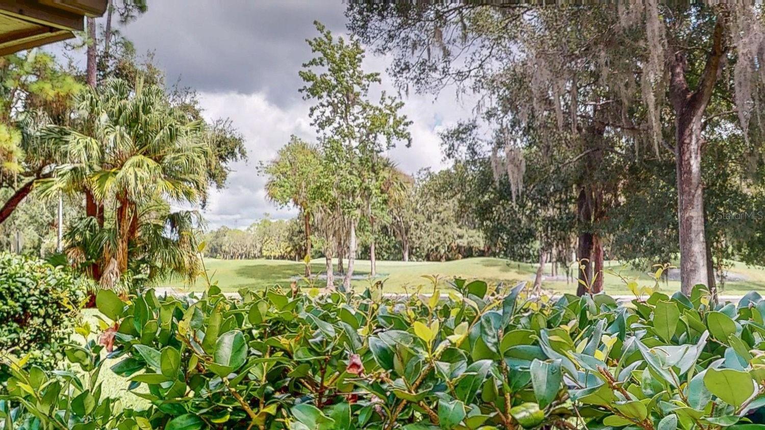 EAST LAKE WOODLANDS WOODRIDGE GREEN TWNHMS - Residential