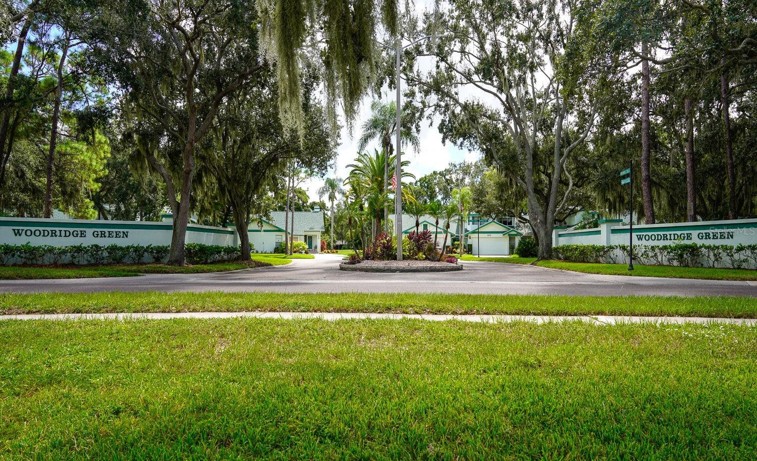 EAST LAKE WOODLANDS WOODRIDGE GREEN TWNHMS - Residential