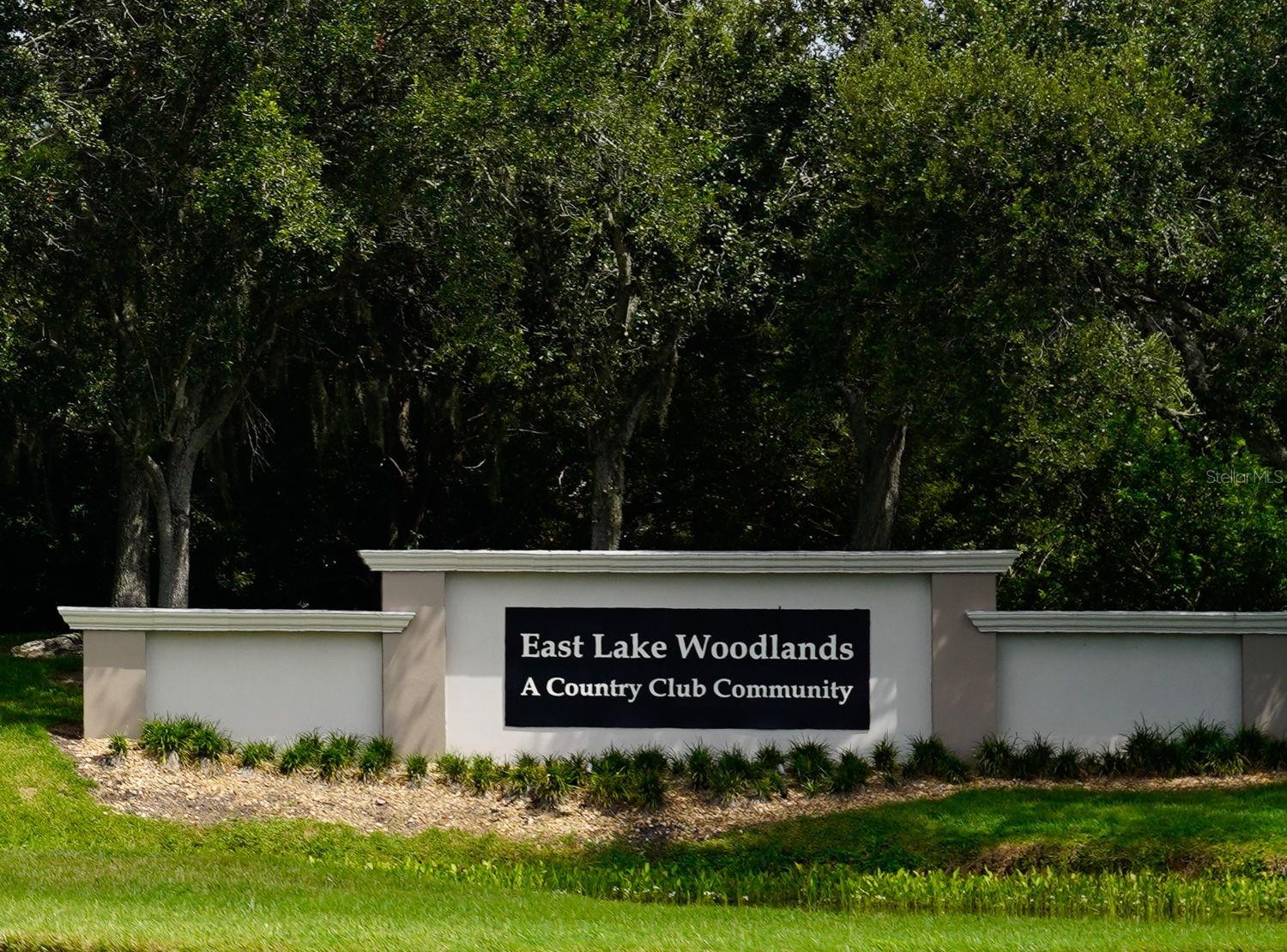 EAST LAKE WOODLANDS WOODRIDGE GREEN TWNHMS - Residential