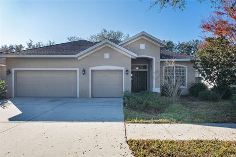 A home in RIVERVIEW