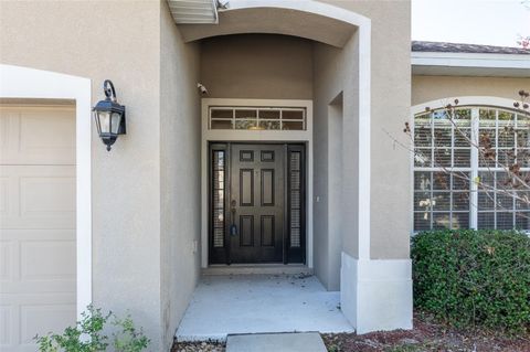 A home in RIVERVIEW