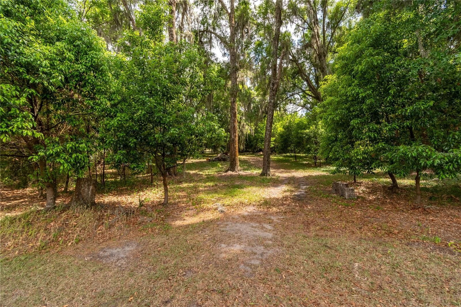 EQUESTRIAN SPGS - Residential