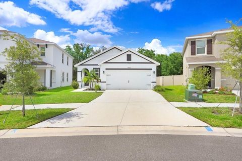 A home in WIMAUMA