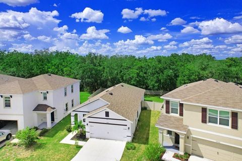 A home in WIMAUMA