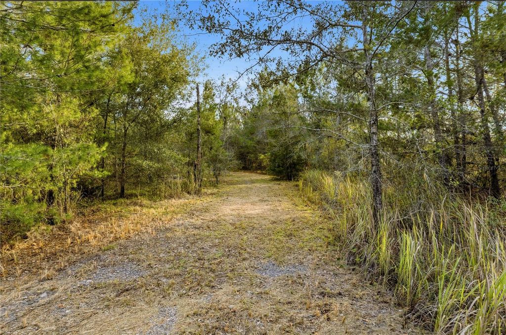 Photo of 0 Backwoods Way, Brooksville, FL 34614 (MLS # W7881493)