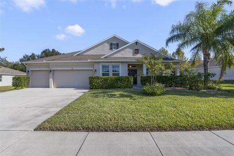 A home in APOPKA