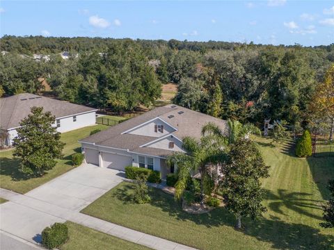 A home in APOPKA