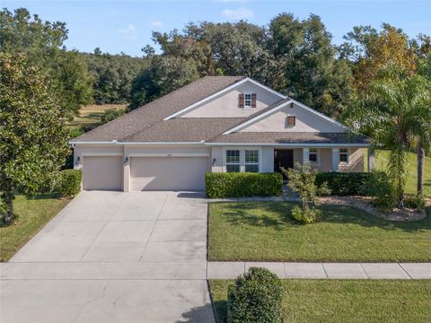 A home in APOPKA