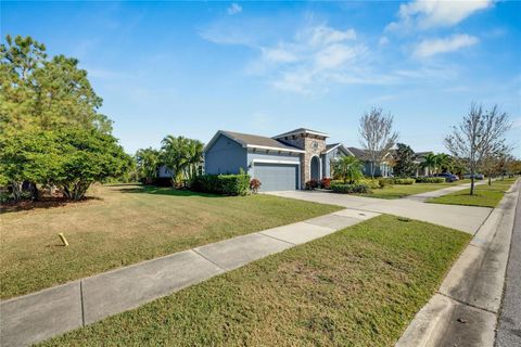 A home in APOLLO BEACH