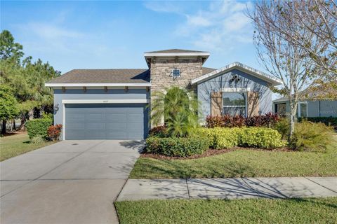 A home in APOLLO BEACH