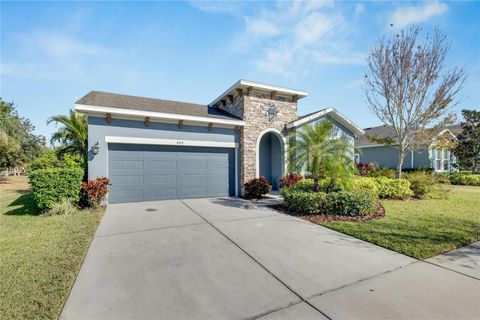 A home in APOLLO BEACH