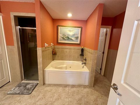 Tiny photo for 2576 SW 175th Loop, Ocala, FL 34473 (MLS # O6369777)