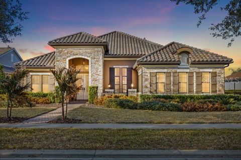 14715 FISHHAWK PRESERVE DRIVE LITHIA FL 33547