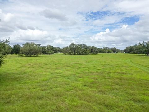 TBD CR 738E WEBSTER FL 33597