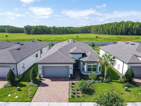 A home in LAND O LAKES