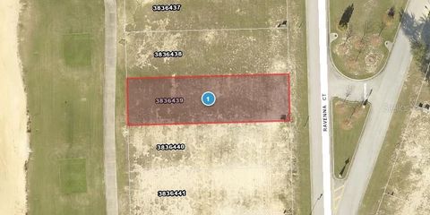 16241 RAVENNA COURT BELLA COLLINA FL 34756