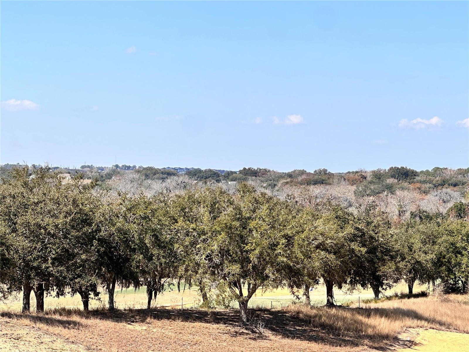 BELLA COLLINA WEST SUB - Land