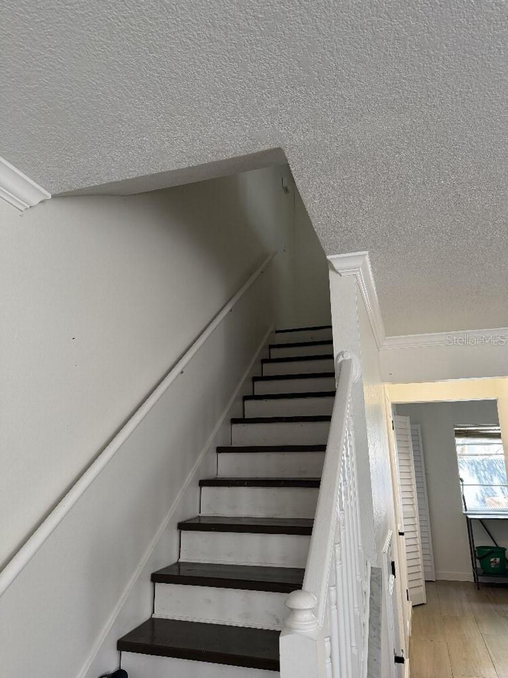 Photo of 218 S Tampania Avenue, Tampa, FL 33609 (MLS # TB8431149)