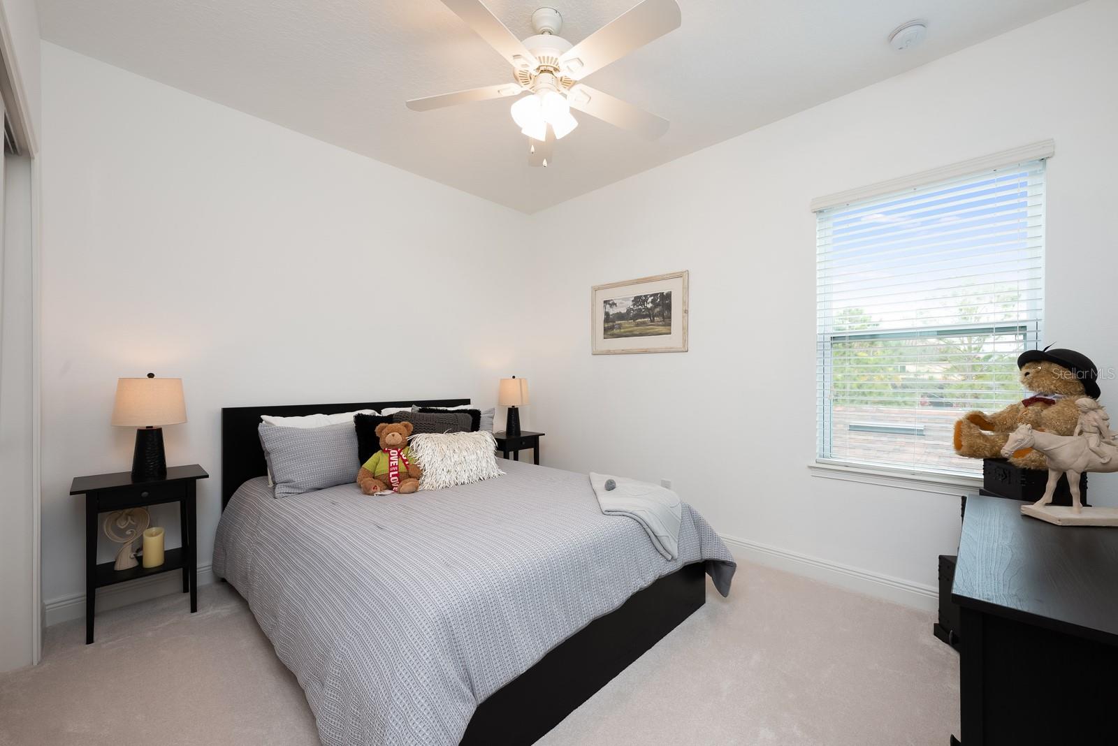 CARRINGTON - Residential