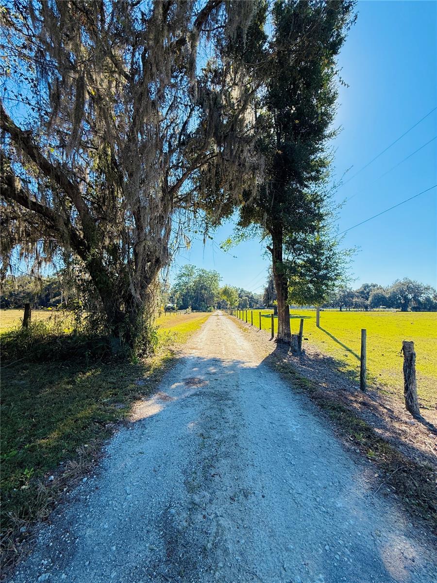 SUMTER GARDENS - Residential