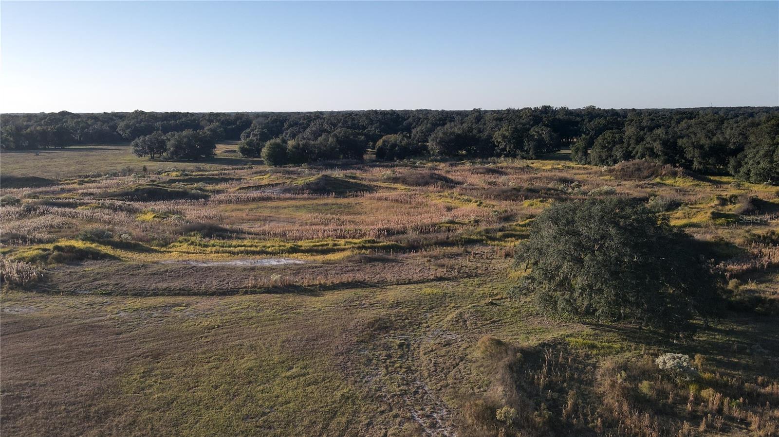 SUMTER GARDENS - Residential