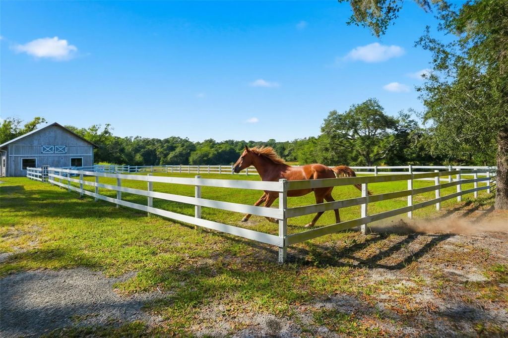 Photo of 14315 Family Trail, Hudson, FL 34669 (MLS # W7880839)