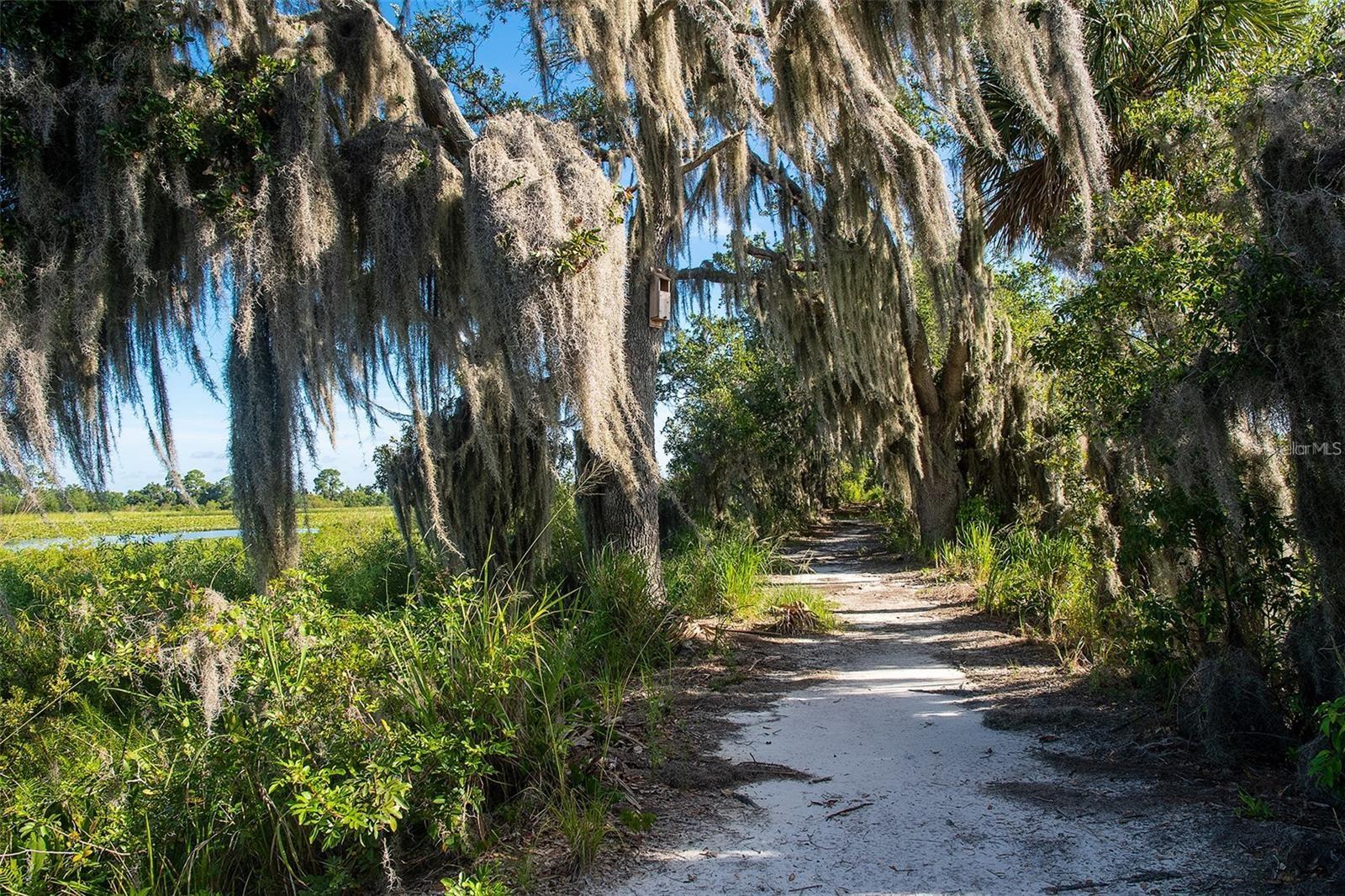 HICKORY HAMMOCK - Residential