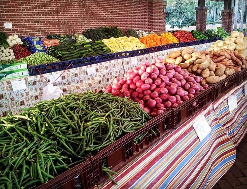 HICKORY HAMMOCK - Residential