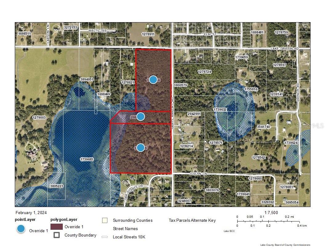 Main image without alt text