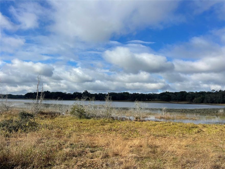 Absolutely stunning 60 +/- acres with Lake frontage on Lady Lake.  This exceptional piece of property is a rare gem with over 2600 feet of road frontage.  If you are looking for development or that perfect family compound located just outside of the fast growing Villages, then this is it.  There is tremendous opportunity here with this property.