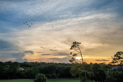 A home in PALM COAST