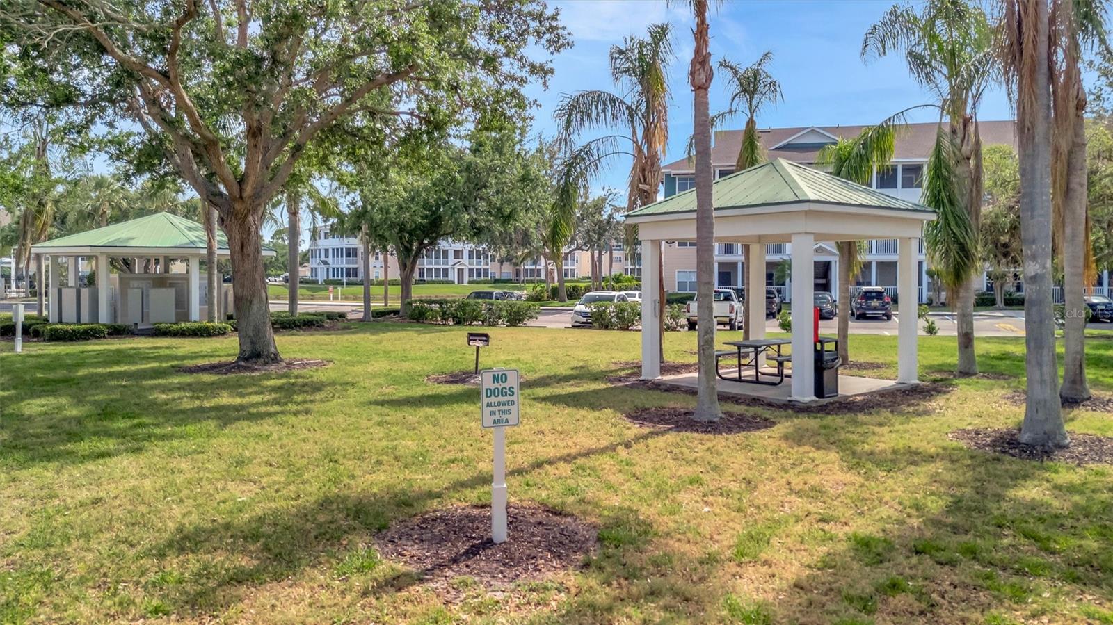 THE PALMS OF CORTEZ - Residential