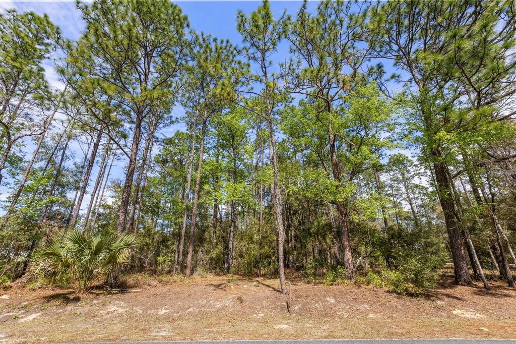 Photo of Tbd SW 60th Street, Dunnellon, FL 34432 (MLS # G5093570)